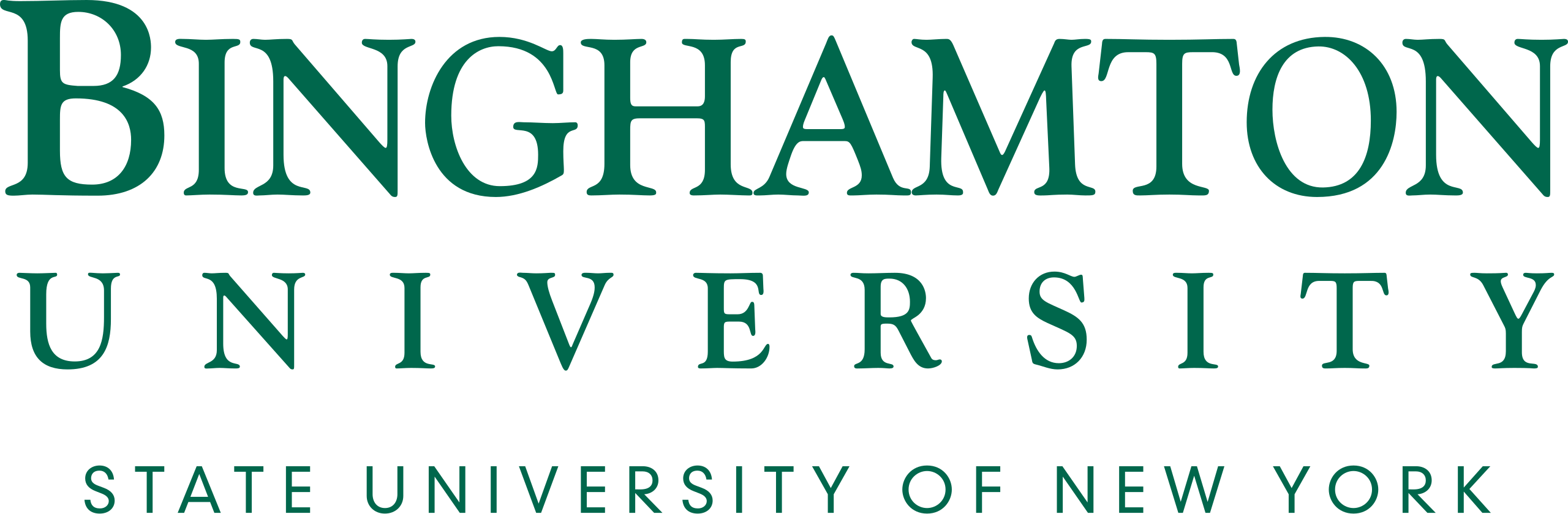 Bringhamton University State University of New York