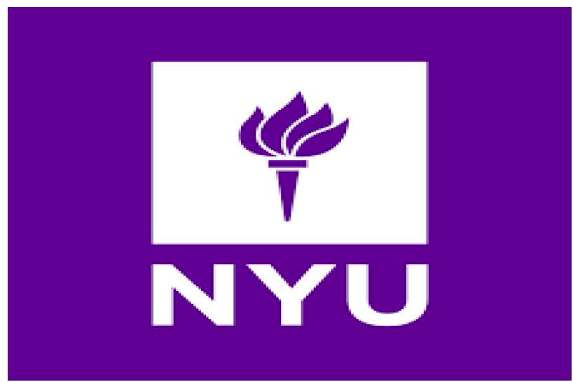 New York University